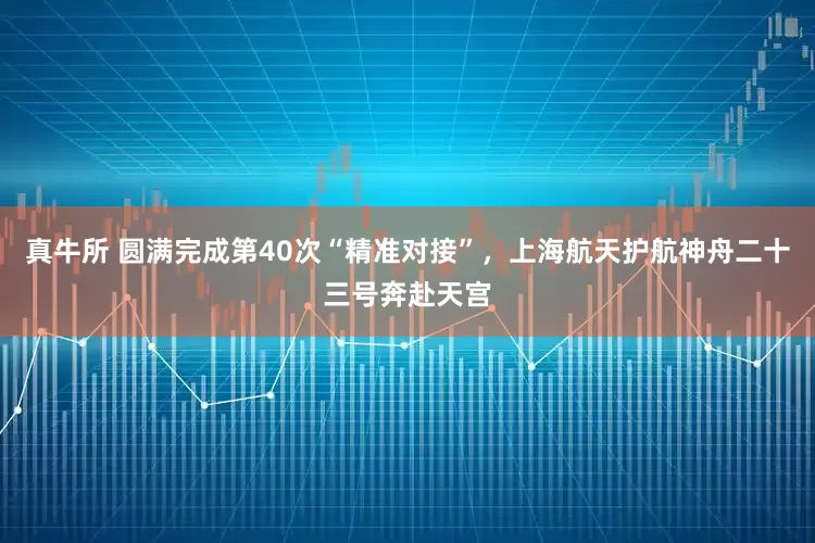 真牛所 圆满完成第40次“精准对接”，上海航天护航神舟二十三号奔赴天宫